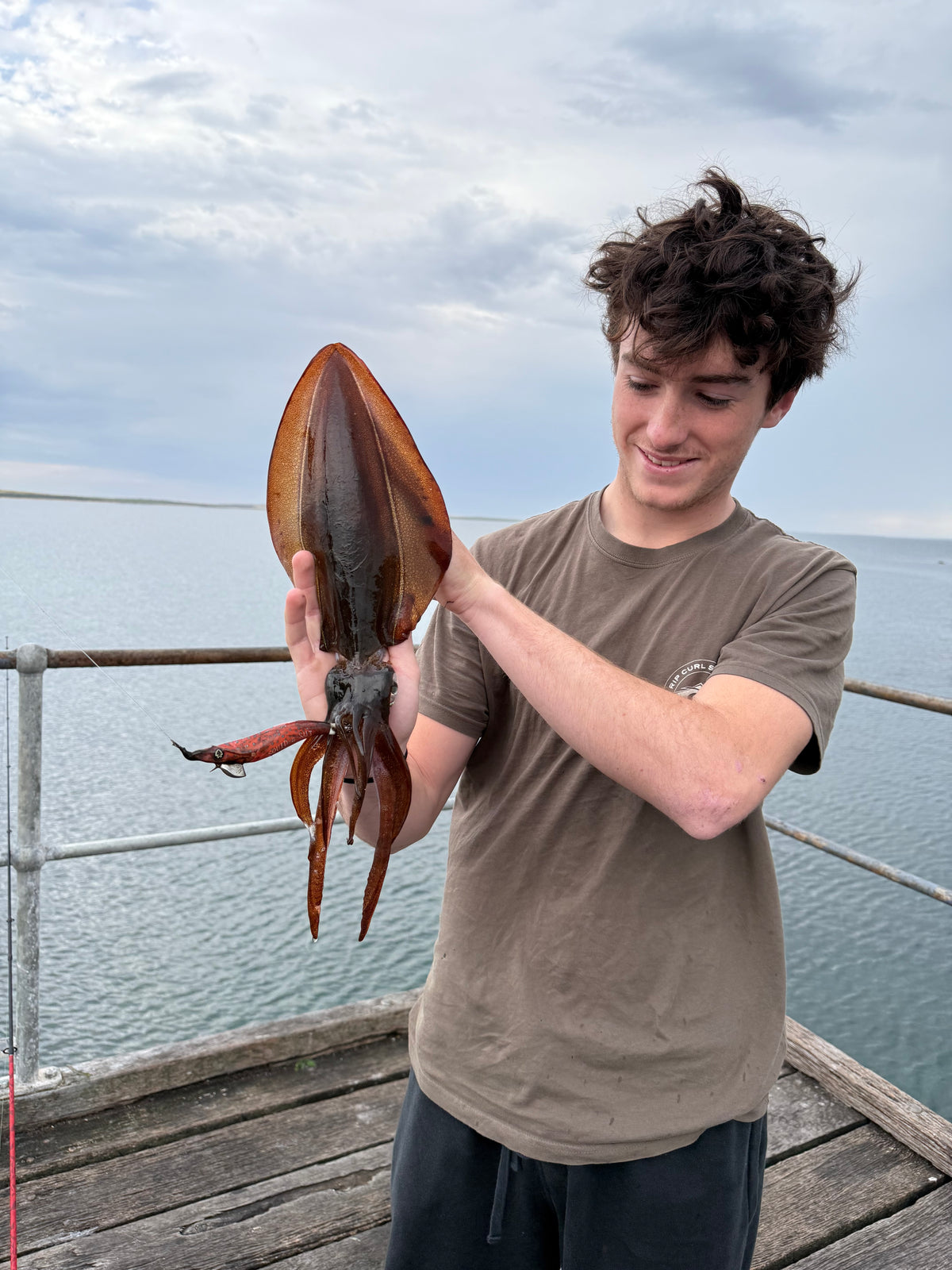 Coral Carly Squid Jig