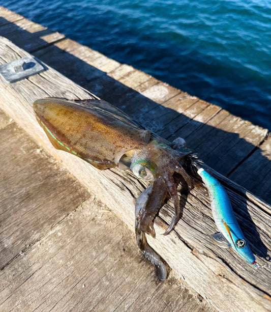 Gar Raider Squid Jig