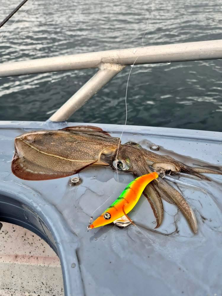 Calypso Ninja Squid Jig