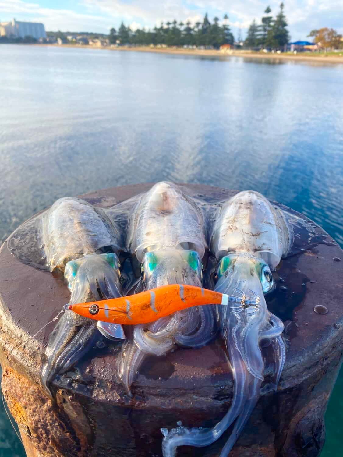 Kraken Killa Squid Jig