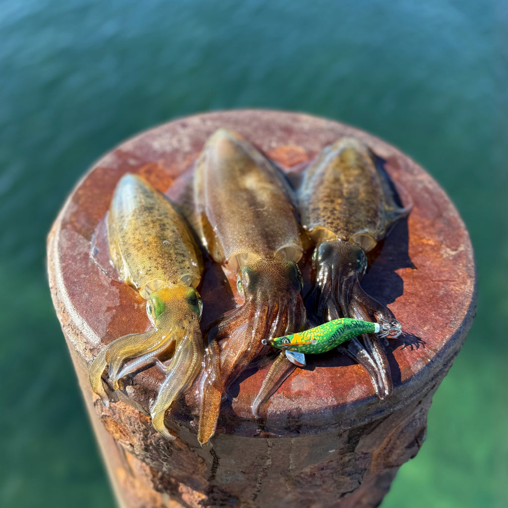 Reefy Rebel Squid Jig
