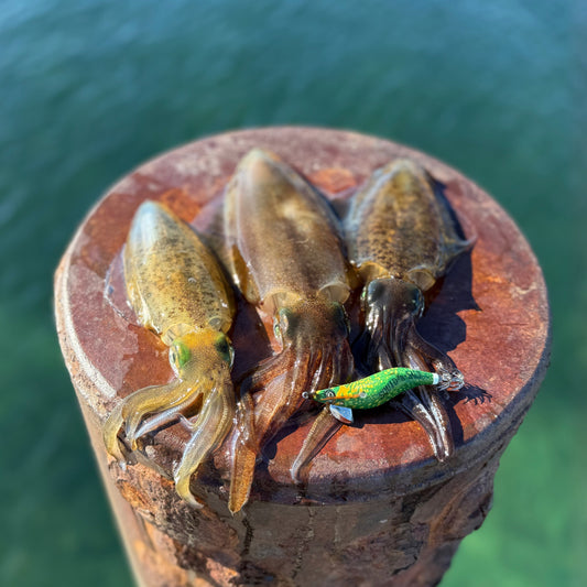 SQUID-a-SALT Reefy Rebel Jig (cloth)