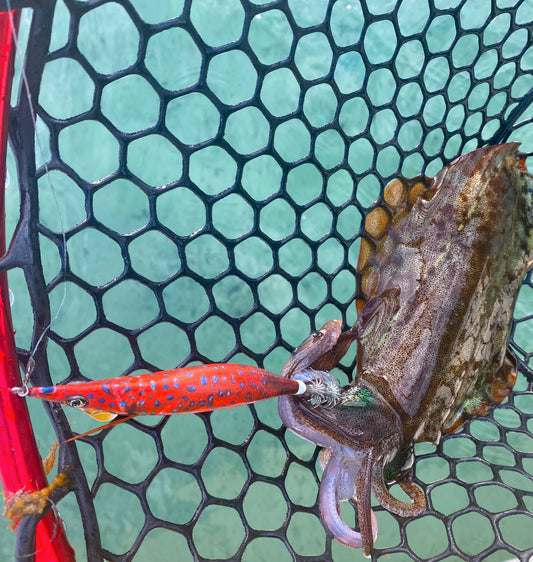 SQUID-a-SALT Coral Carly Jig (Cloth)