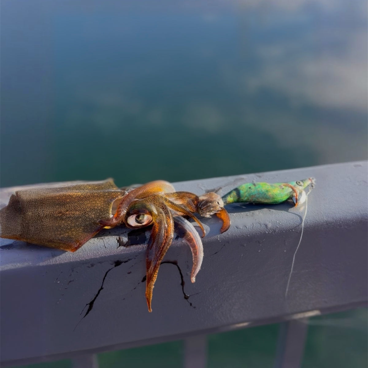 The Weedy Warrior Squid Jig