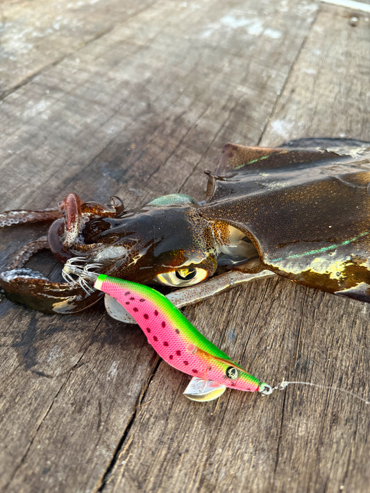 Watermelon Squid Jig